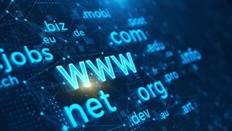 domain purchasing